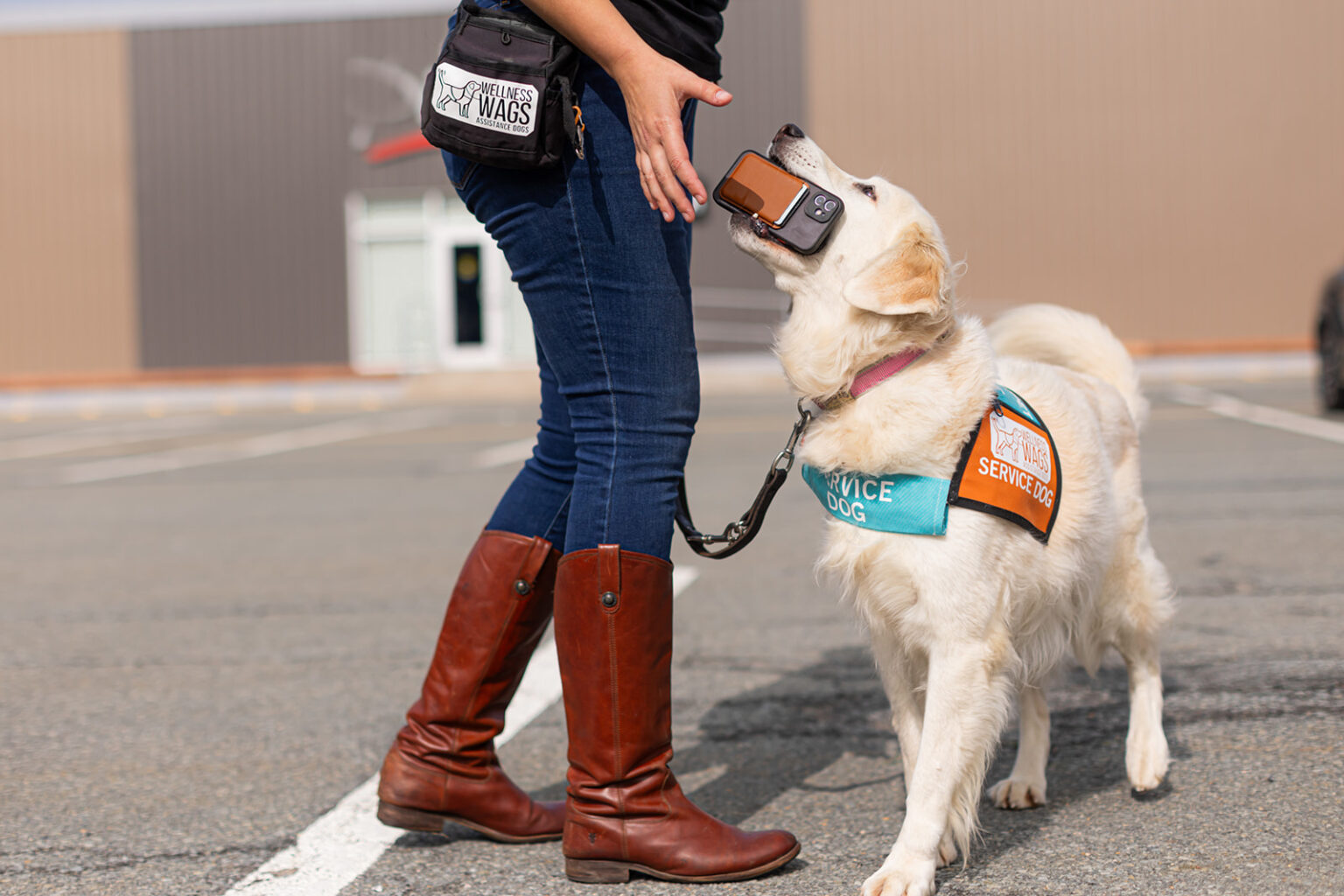 Wellness Wags Assistance Dogs