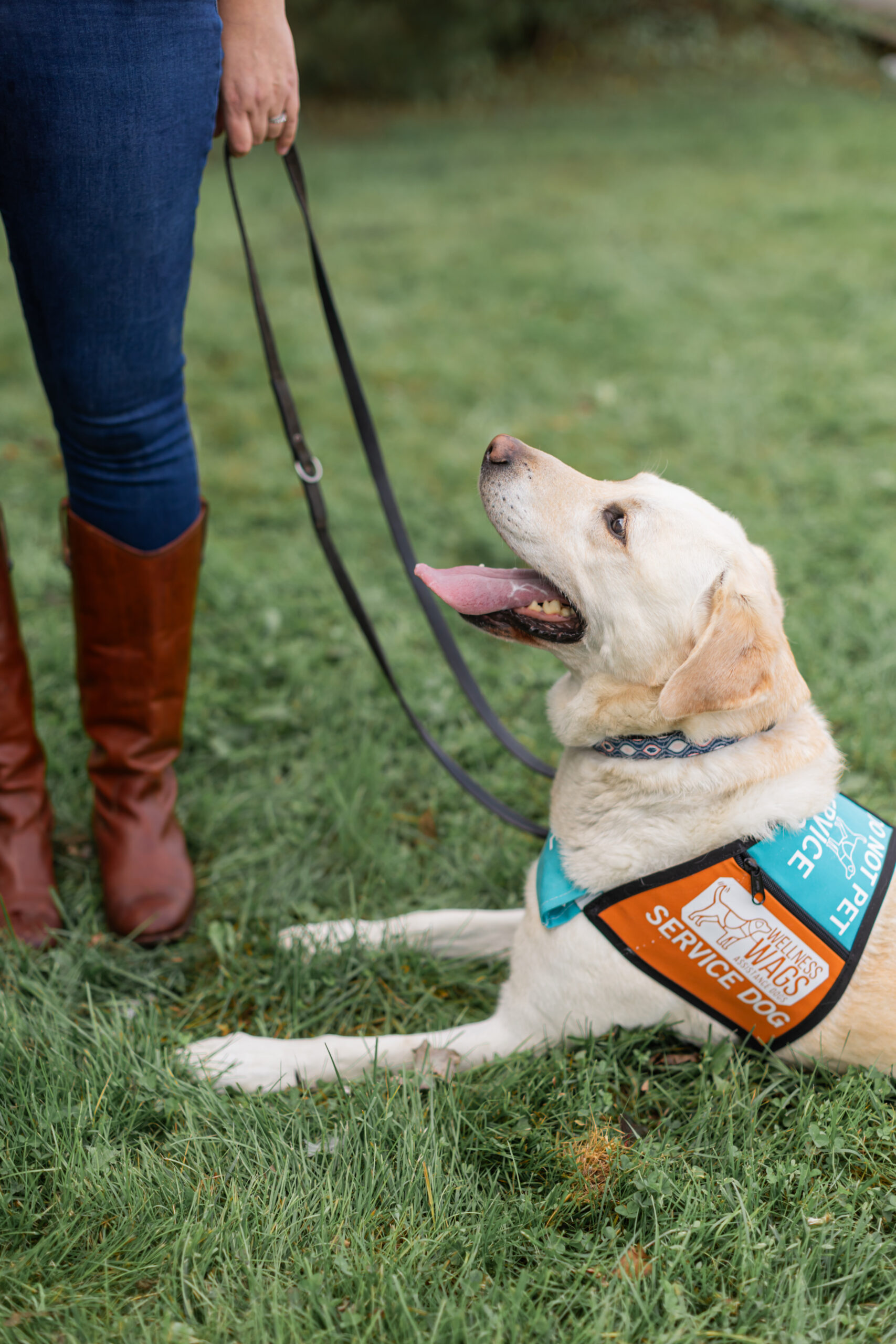 Wellness Wags Assistance Dogs